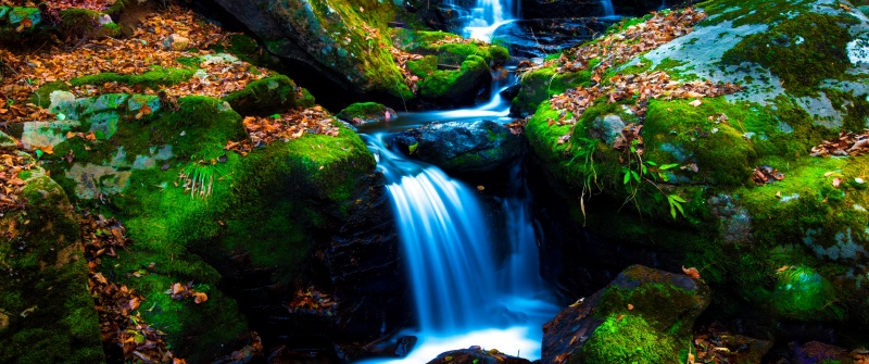 Mossy rocks, Green Moss, Autumn leaves, Forest, Water Stream, Long exposure, Serene, Flowing Water, Lush green field, Tranquility, 5K