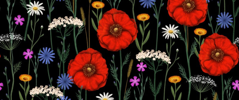 Poppies, Floral designs, Floral Background, Wildflowers, Botanical, Dark background, Flower patterns, 5K