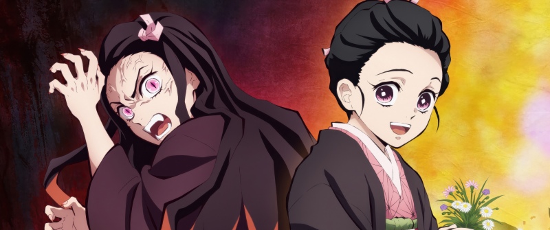 Nezuko Kamado Transformation, Demon Slayer: Kimetsu no Yaiba