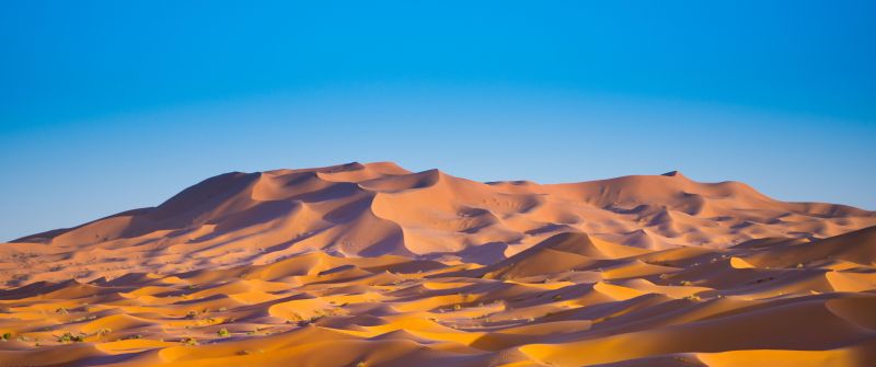 Sahara Desert, Merzouga, Morocco, Sand Dunes, Blue Sky, Sunny day, 5K, Summer