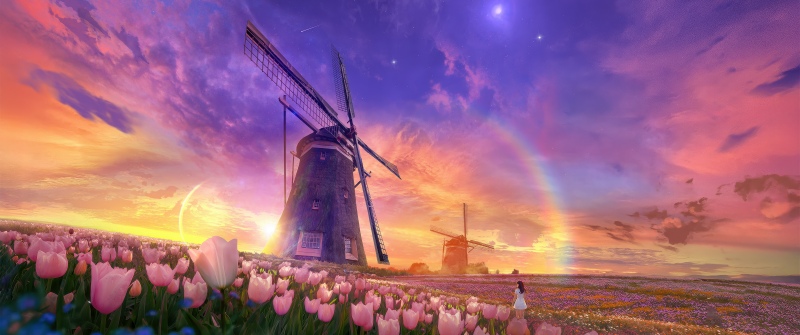 Tulips field, Windmill, Surrealism, Aesthetic, 5K, Sunset, Rainbow, Dreamy, Scenic