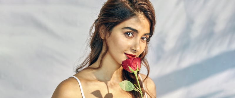 Pooja Hegde, Rose flower, 5K, Indian actress