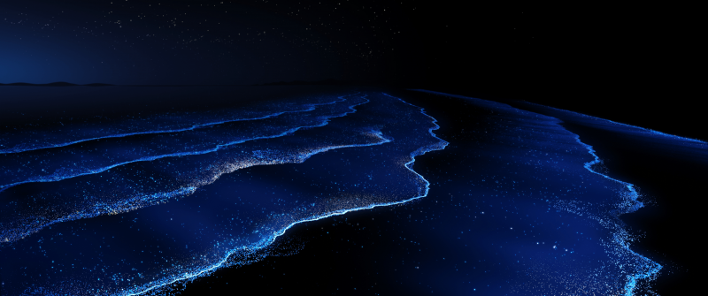 Huawei MateBook Fold Ultimate, Beach wallpaper