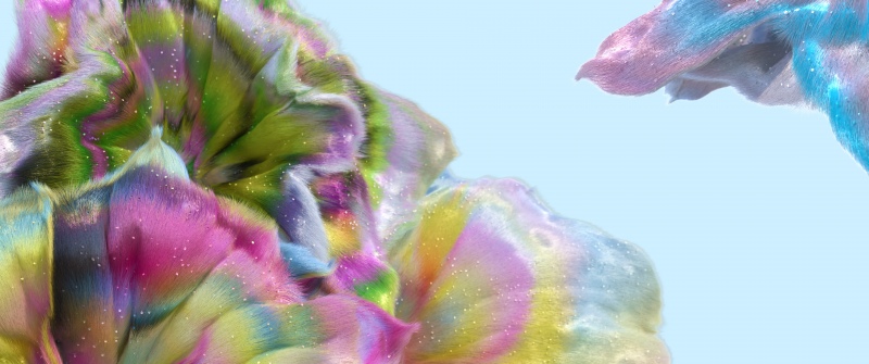 Pride 2025, Microsoft Design, LGBTQ