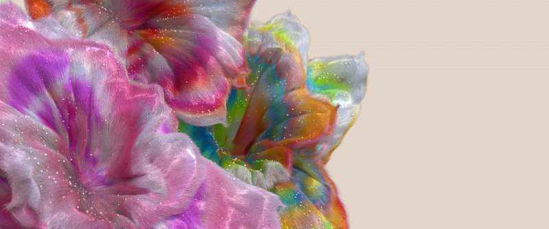 Pride 2025, Microsoft Design, LGBTQ