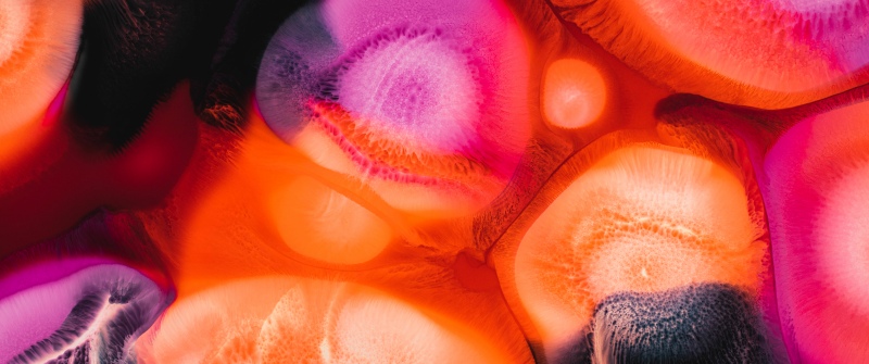 Vibrant, Fluid art, Liquid art, 5K, 8K