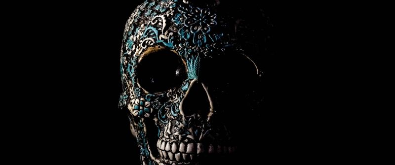 Skull, Human, Skeleton, Black background, Art, 5K