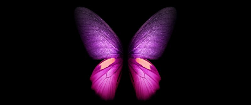 Purple Butterfly, Wings, Black background, Samsung Galaxy Fold, AMOLED, CGI, Girly, Stock