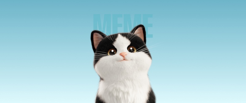 Cute Cat, Cartoon, Meme, Blue background, Blue gradient, 5K