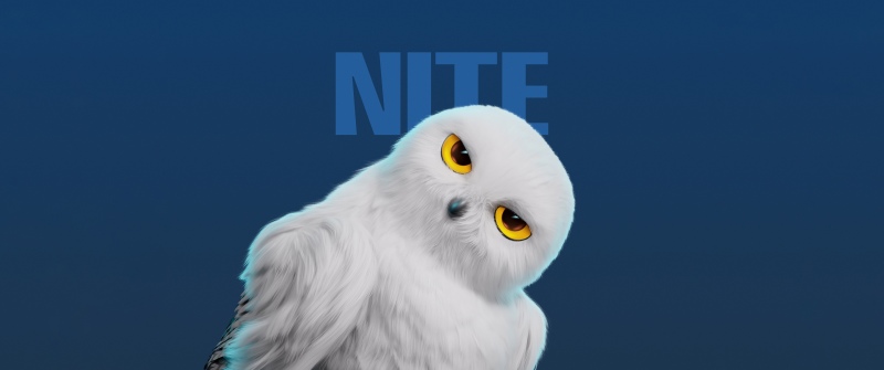 White Owl, Cute cartoon, 5K, Honor Magic V Flip 2, Stock, Blue background
