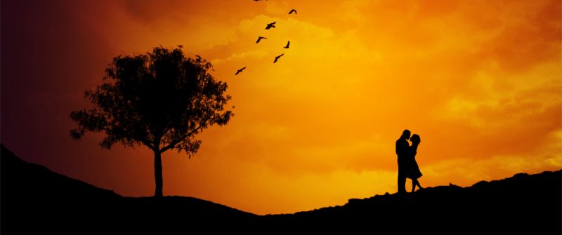 Couple, Landscape, Silhouette, Orange sky, Tree, Birds, Sunset, Romantic