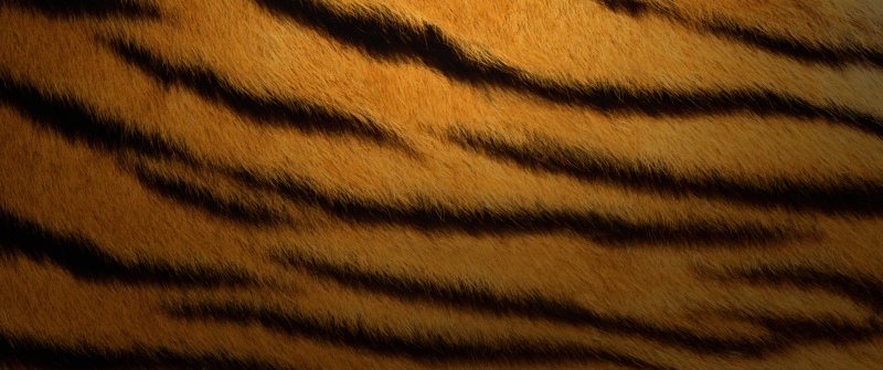 Tiger skin, Texture, OS X Tiger, Mac OS X, Stock, 5K