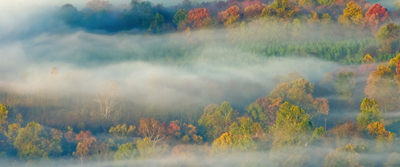 OS X Lion, Autumn, Fog, Landscape, Trees, Misty, Mac OS X, Stock, 5K