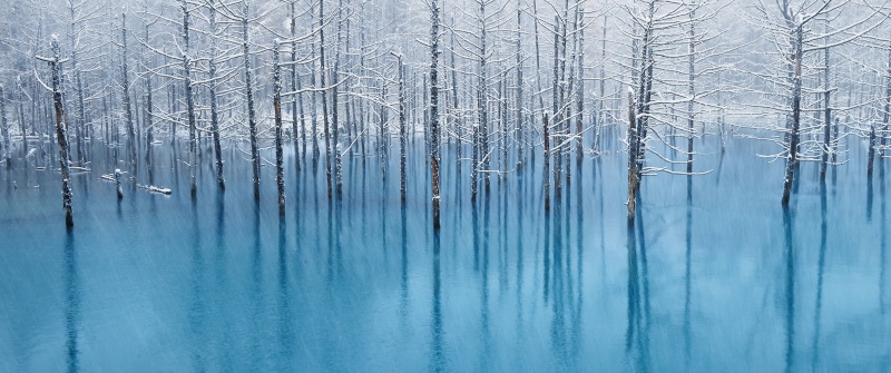 OS X Mountain Lion, Winter, Frozen trees, Reflection, Blue aesthetic, Snow covered, Stock, Mac OS X