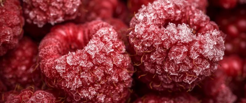Frozen Raspberries, Red fruits, Closeup, Macro