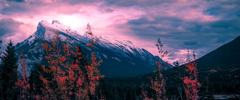 Mount Rundle, Canada, Golden hour, Clouds, Purple sky, Trees, Sunset, Mountain Peak, 5K