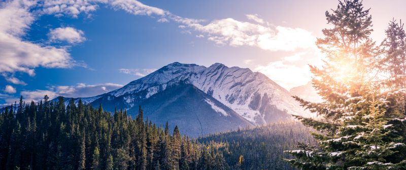 Snow mountains, Pine trees, Clear sky, Clouds, Sunset, Mountain range, 5K