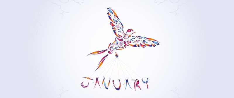 January, Abstract bird, Colorful abstract, Floral designs, 5K