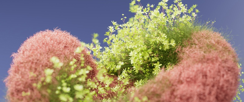 Macro, Bloom, Floral Background, 5K, Peach, Botanical, Bokeh, Microsoft Design