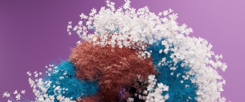 Fluffy, Floral Background, 3D Render, White flowers, Purple background, 5K, Soft focus, Macro, Whimsical, Microsoft Design