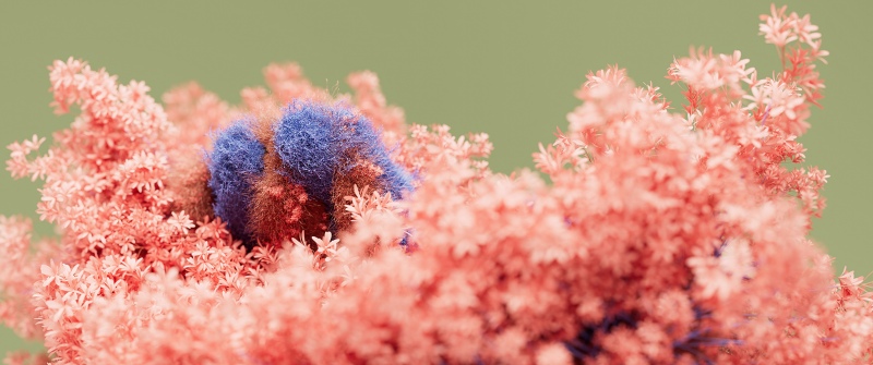 Floral, Pink moss, Soft focus, Green background, 5K, Bloom, Macro, Botanical, Microsoft Design