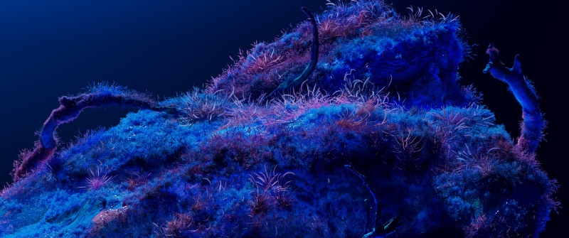 Bioluminescence, Neon art, Dreamy, Cosmos, Deep blue, Microsoft Design
