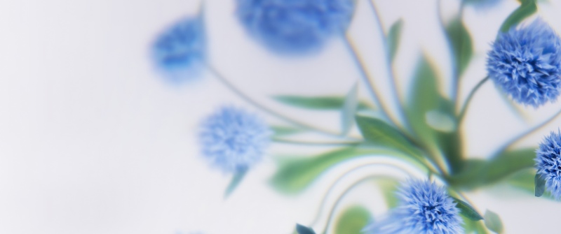 Blue flowers, Soft focus, White background, Minimalist, Floral Background, Microsoft Design