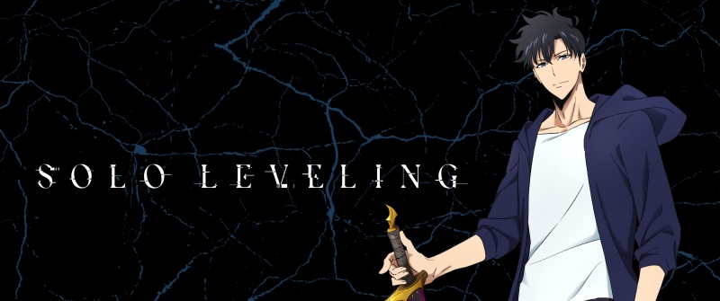 Sung Jinwoo, Dark background, Solo Leveling, Dagger