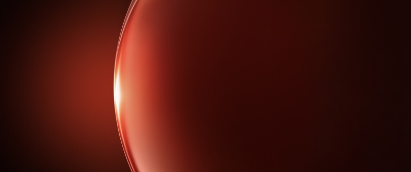 Honor Magic V6 stock wallpaper