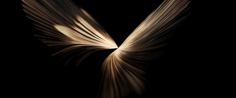 Honor Magic V6 stock wallpaper