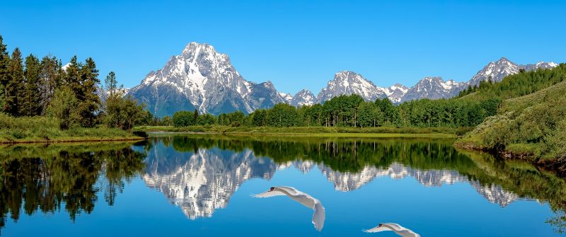 Lake, Blue aesthetic, Mountains, Blue Sky, Landscape, Clear sky, Reflection, Water, Swans, Snow covered, Trees, Scenic, Beautiful
