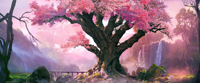 Surreal, Cherry blossom, Tranquility, Bloom, Calm, 5K, Aesthetic