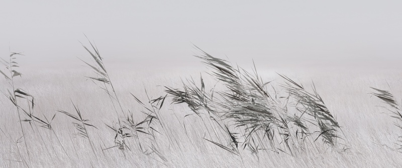 Grey, Grass Landscape, Minimalist, Xiaomi HyperOS 3.1, Stock, Full moon