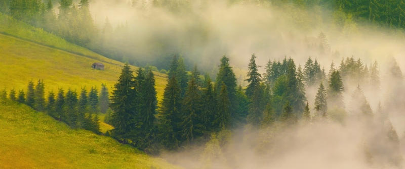 Misty, Forest, Green hills, Sunrise, Foggy forest, Landscape, Honor MagicBook Pro, Stock, 5K