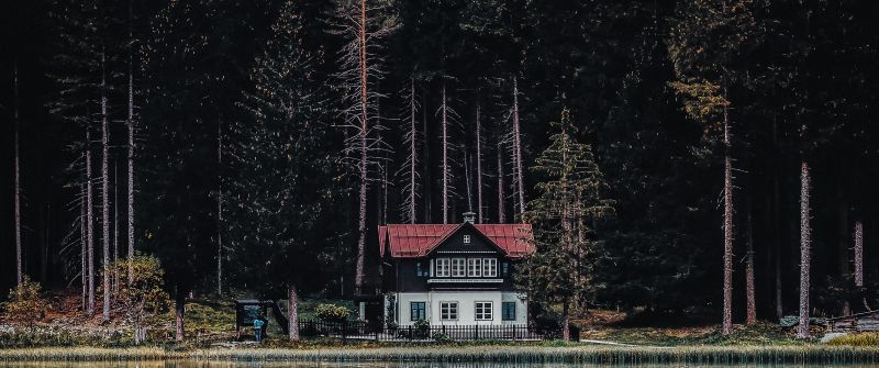 Dark Forest, House, Tall Trees, Woods, Lake, Body of Water, Reflection, Landscape, Scenery, 5K