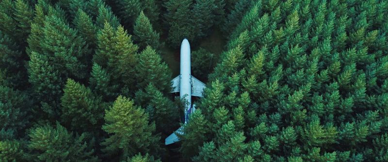 Airplane, Green Trees, Aerial view, Forest, Green background, Alpine trees