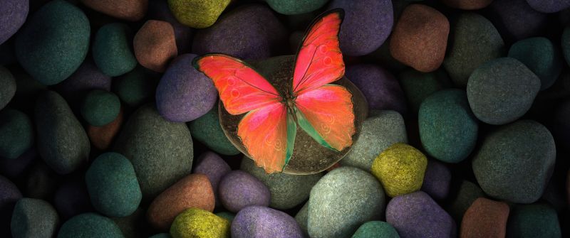 Butterfly, Stones, Colorful, Focus, Pebbles, Aesthetic, Glowing, Girly backgrounds