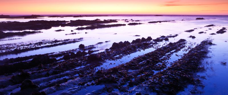 Fitzgerald marine reserve, California, USA, Moss Beach, Rocks, Sunset, Purple sky, Landscape, Seascape, Body of Water, Horizon, Clear sky, 5K