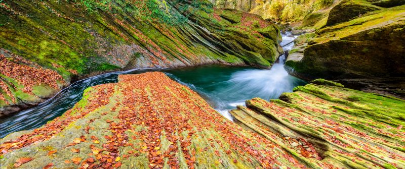 River, Autumn, Foliage, Stream, Savoie, France, Rocks, 5K