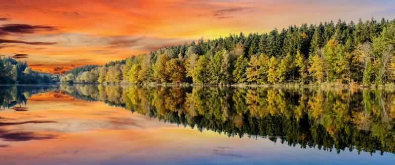 Forest, Afterglow, Trees, Sunset, Orange sky, Mirror Lake, Body of Water, Reflection, Landscape, Scenery, 5K