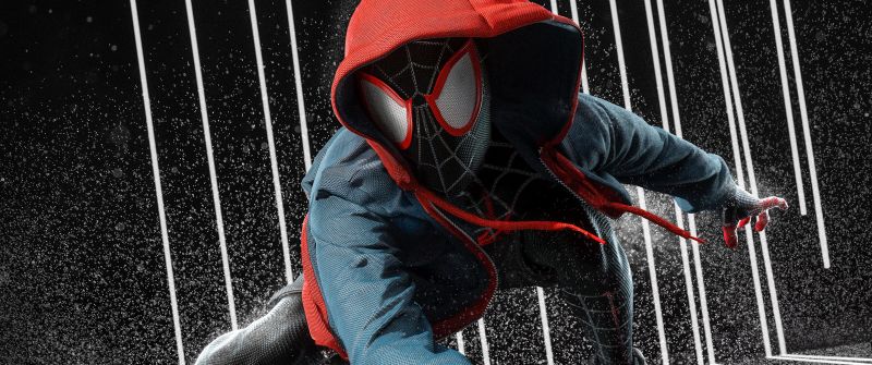 Miles Morales, Spider-Man, Spider-Verse, Marvel Superheroes, Spiderman