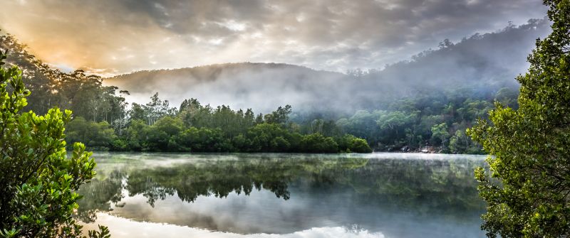 Berowra Creek, Australia, Cloudy Sky, Sunrise, Watercourse, Green Trees, Forest, Misty, Reflection, Landscape, Mirror Lake, 5K