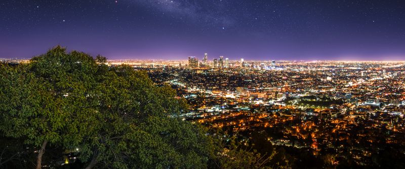 Los Angeles City, Cityscape, City lights, Night time, Horizon, Starry sky, Green Tree, Purple sky, Skyscrapers
