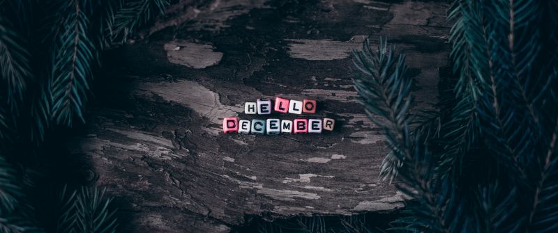 Hello December, Dice, Assorted, Wooden background, Pine branches, Christmas decoration, Letters, 5K