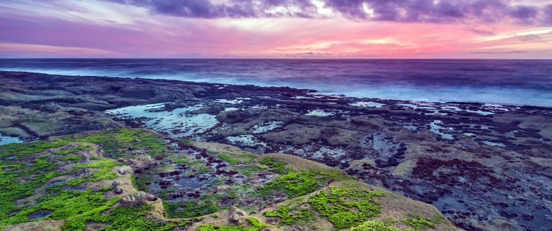 Rocky coast, Seascape, Green Moss, Sunset, Purple sky, Horizon, Ocean, Cloudy, Landscape
