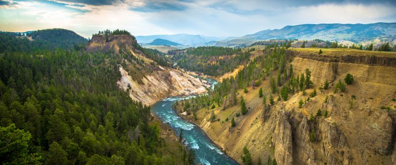 Yellowstone National Park, USA, Cliff, River Stream, Landscape, Canyon, Green Trees, Valley, Scenery, 5K
