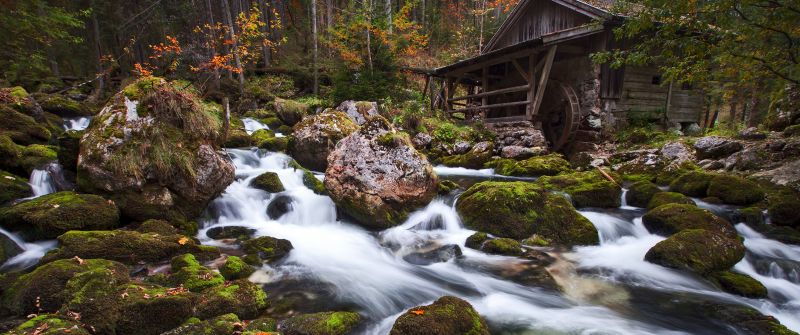 Gollinger Mill, Austria, Waterfalls, Rocks, Long exposure, Green Moss, Forest, Tall Trees, Woods, Landscape, Scenery, Flowing Water