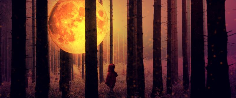 Full moon, Kid, Forest, Woodland, Surreal, Mystic, Night time, Tall Trees, 5K