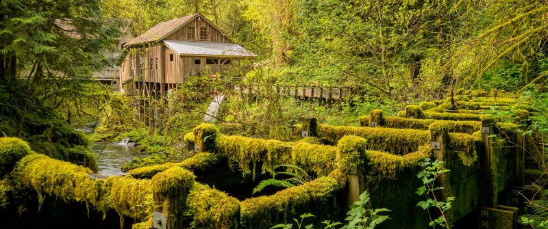 Cedar Creek Grist Mill, Woodland, Washington State, Forest, Landscape, Green Trees, Greenery, Moss, Scenery, 5K