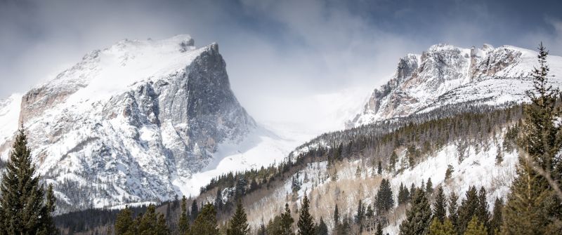 Hallett Peak, Rocky Mountains, Colorado, Mountain summit, Snow covered, Winter, Foggy, Green Trees, Landscape, 5K
